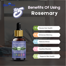 Load image into Gallery viewer, Rosemary Essential Oil