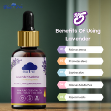 Load image into Gallery viewer, Lavender Kashmir Essential Oil