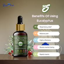 Load image into Gallery viewer, Eucalyptus Essential Oil