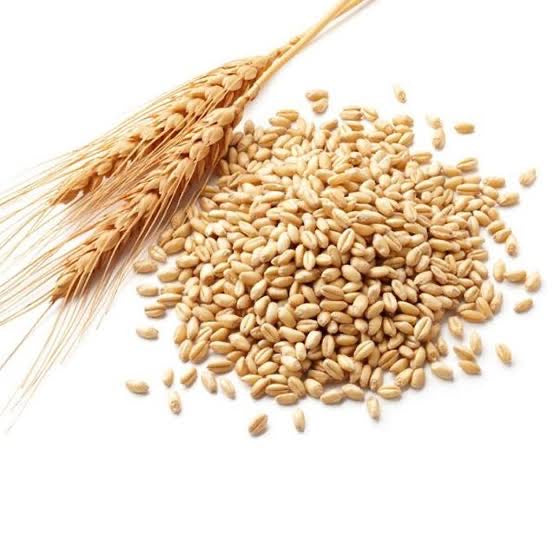 Wheat Germ - 100% natural and premium cold pressed oil for Skin, Hair, Face & Body Care- Rich in Nutrients - Anti Ageing, Anti hairfall & Strengthening The Hair
