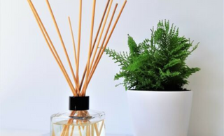 What are the top benefits of a Reed Diffuser. How to use a Reed Diffuser?