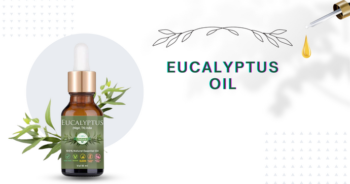 Eucalyptus Oil
