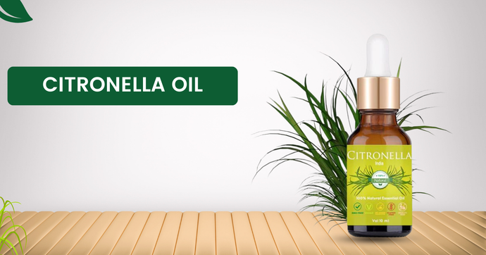 Citronella oil