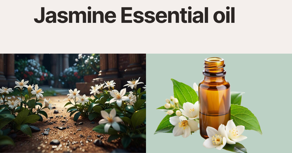 Jasmine essential oil