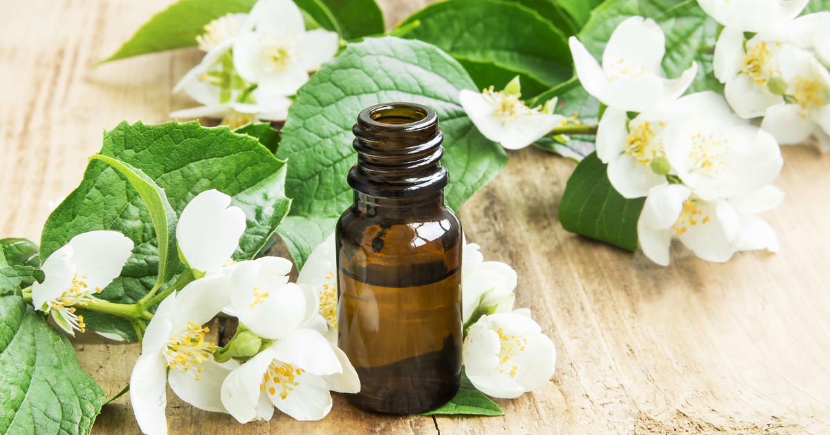 Jasmine essential oil