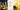 Best carrier oils for essential oils