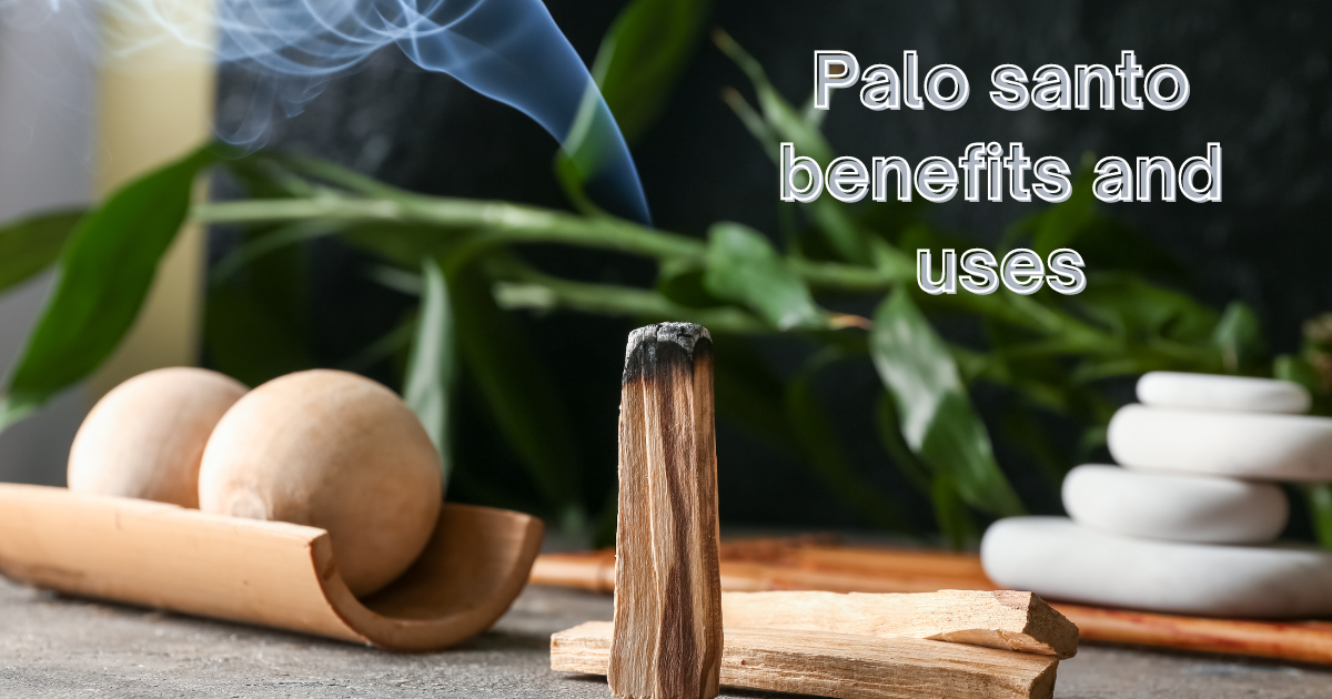 Palo santo benefits and uses