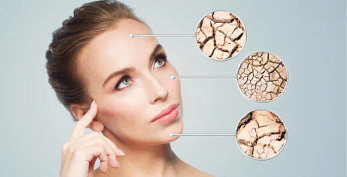 Best Face Oil for Dry Skin