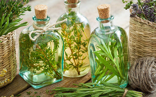 Clear Mind, Sharp Thinking: Elevate Concentration with Rosemary Essential Oil