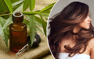 Top 5 Amazing Benefits of Tea Tree Oil for Skin and Hair