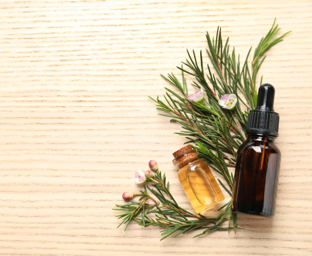 Tea tree oil benefits
