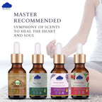 Grand Master Choa Kok Sui (GMCKS) Recommended 4 Essential Oil Pack - Blue Tree Aroma