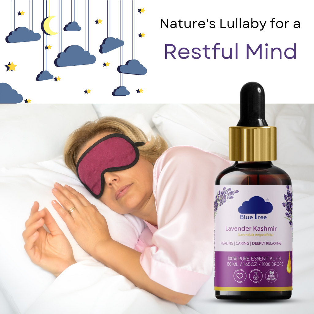 Lavender Kashmir Essential Oil