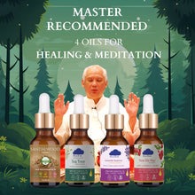 Load image into Gallery viewer, Grand Master Choa Kok Sui (GMCKS) Recommended 4 Essential Oil Pack
