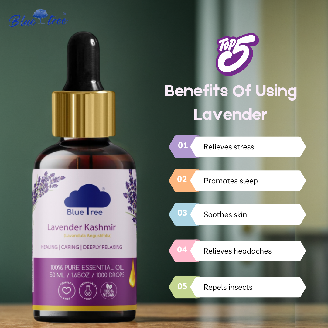 Lavender Kashmir Essential Oil