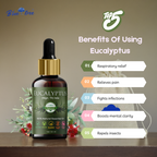 Eucalyptus Essential Oil