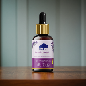 Lavender Kashmir Essential Oil