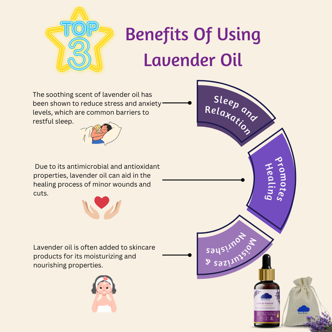 Lavender Kashmir Essential Oil