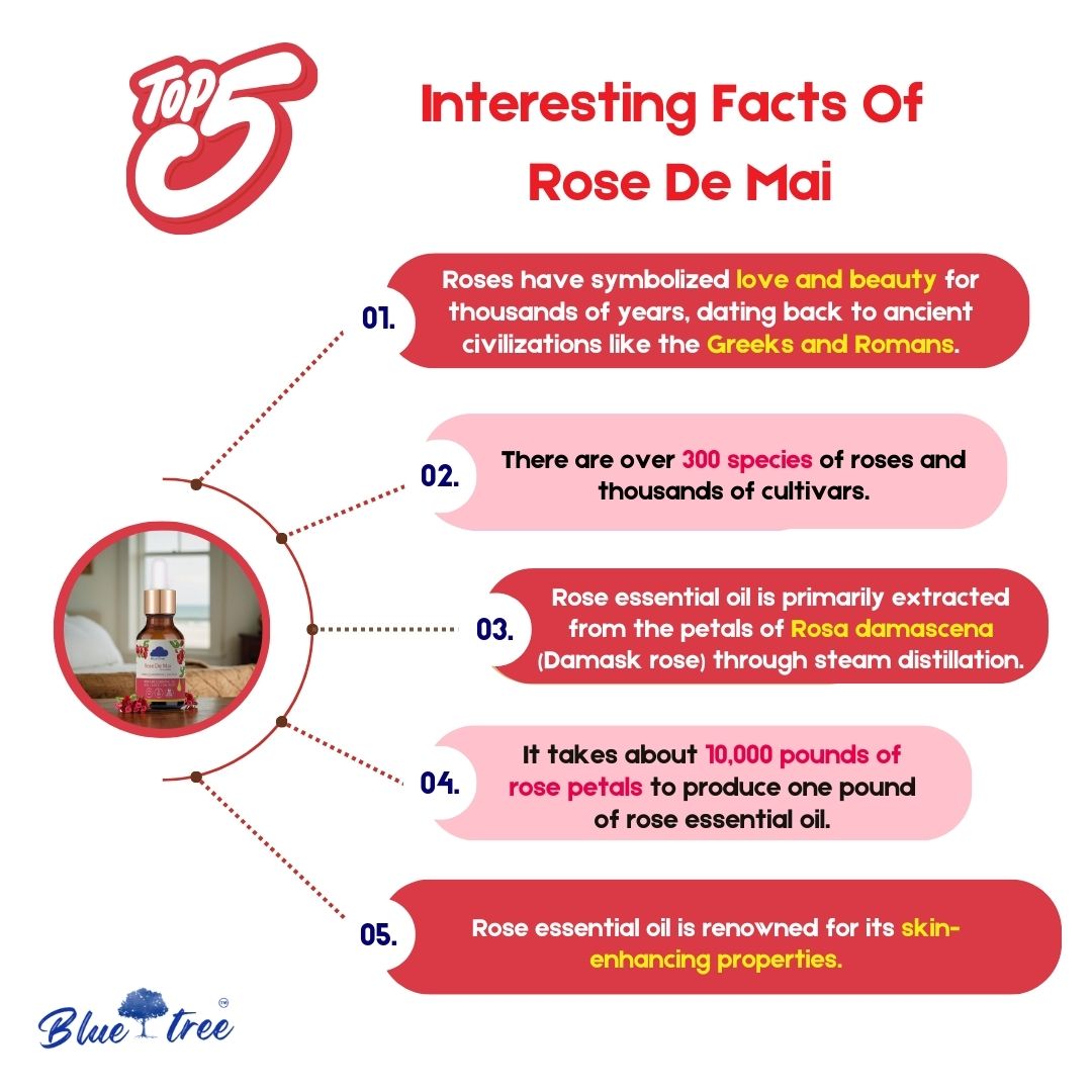 Rose De Mai Essential Oil