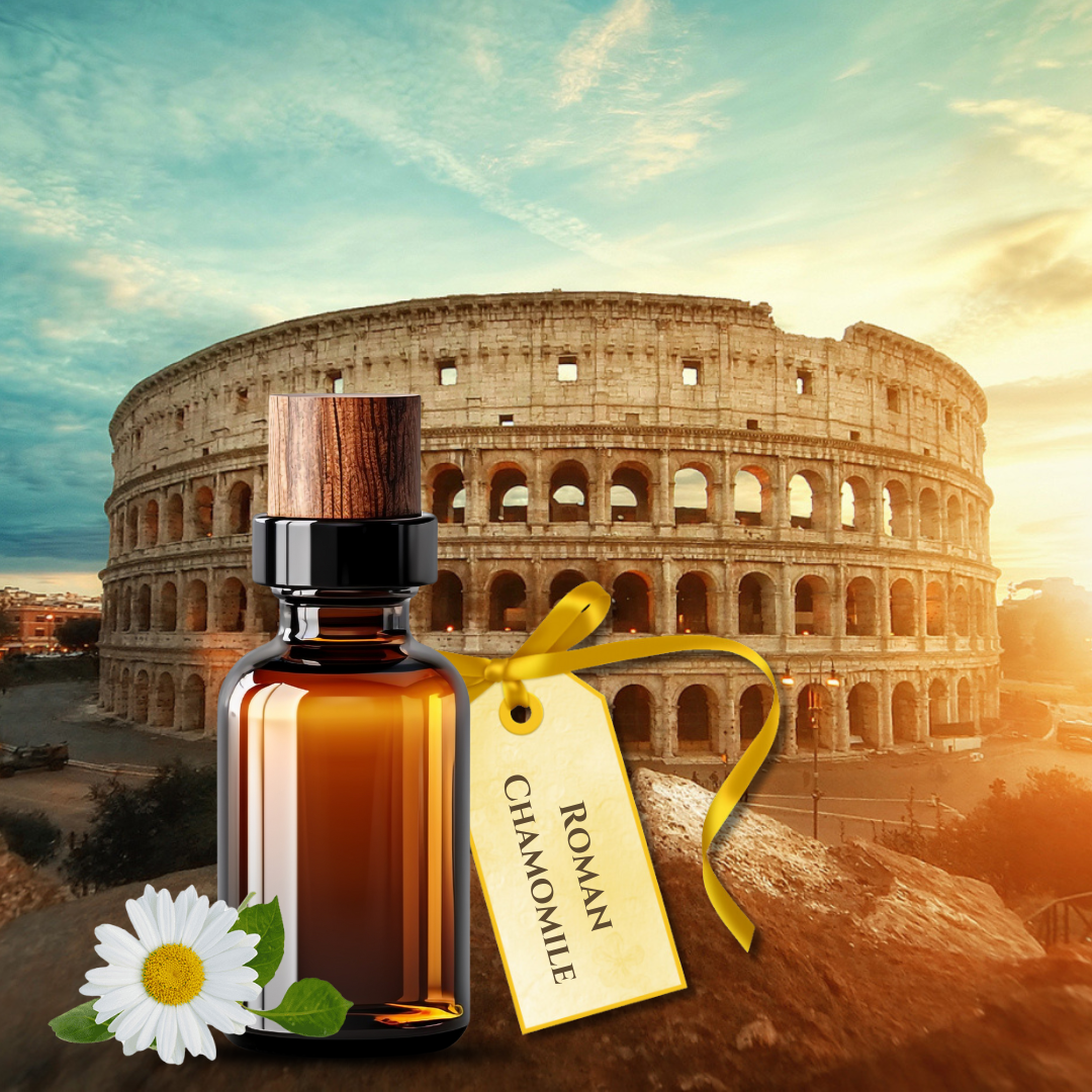 Roman Chamomile Pure Essential Oil