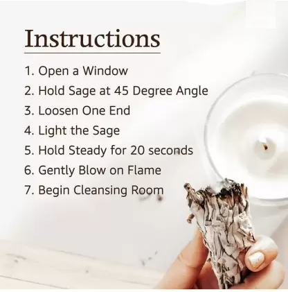 White Sage (New Launch)