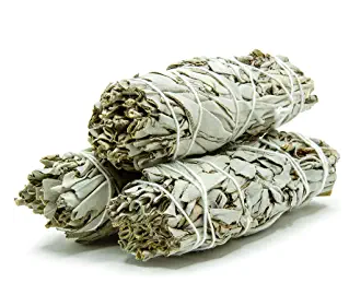 White Sage (New Launch)