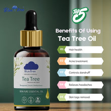 Load image into Gallery viewer, Tea Tree Essential Oil

