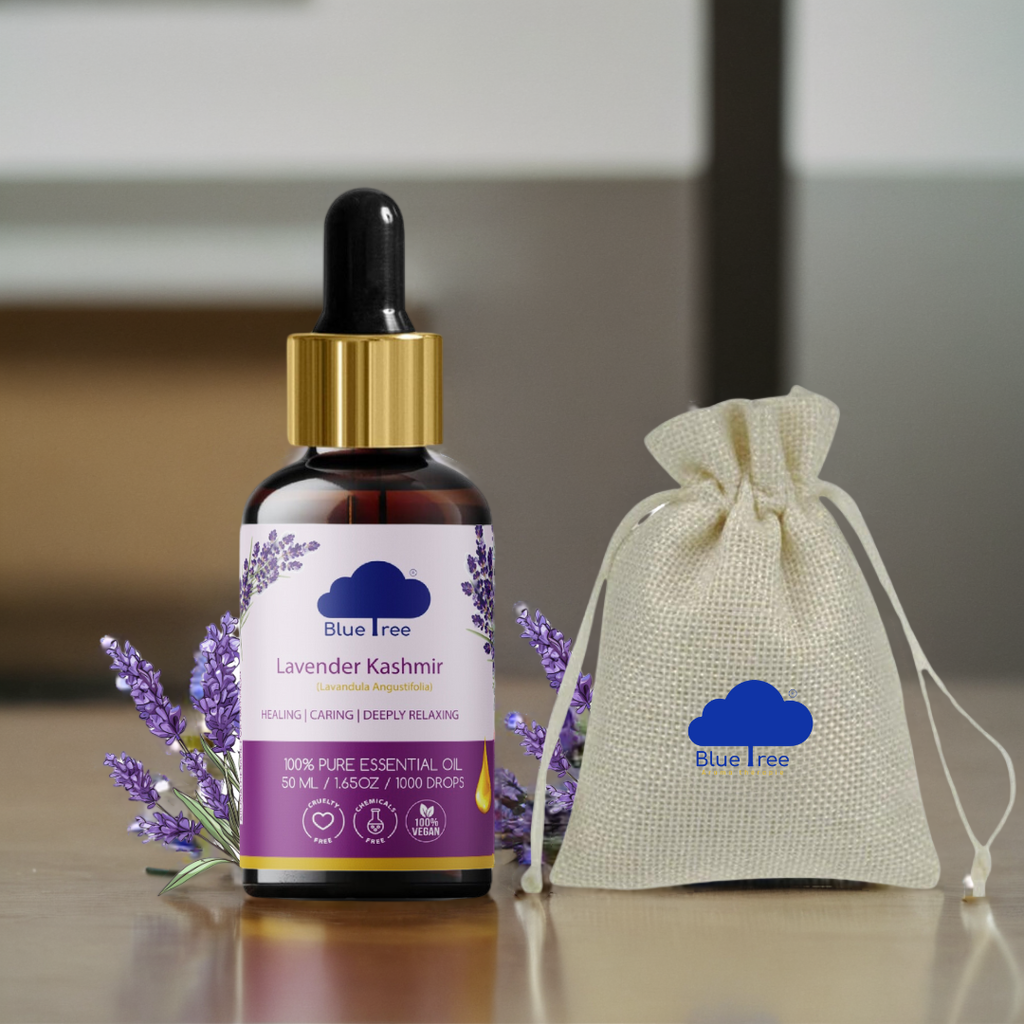 Lavender Kashmir Essential Oil - Blue Tree Aroma