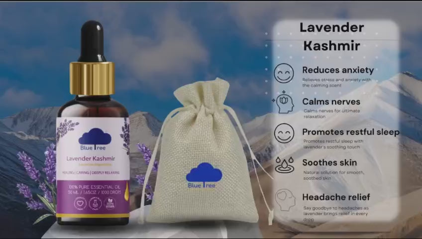 Lavender Kashmir Essential Oil