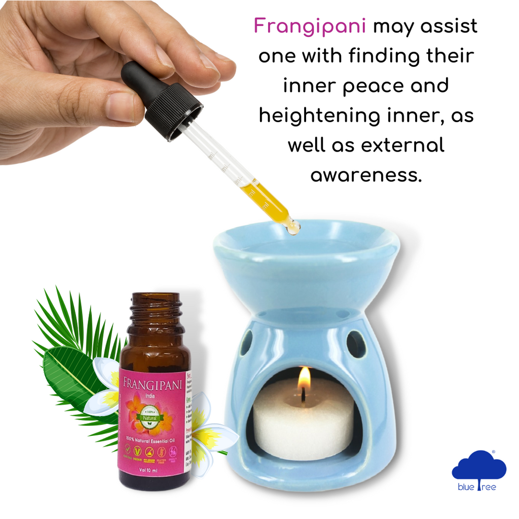 Frangipani Essential Oil - Blue Tree Aroma