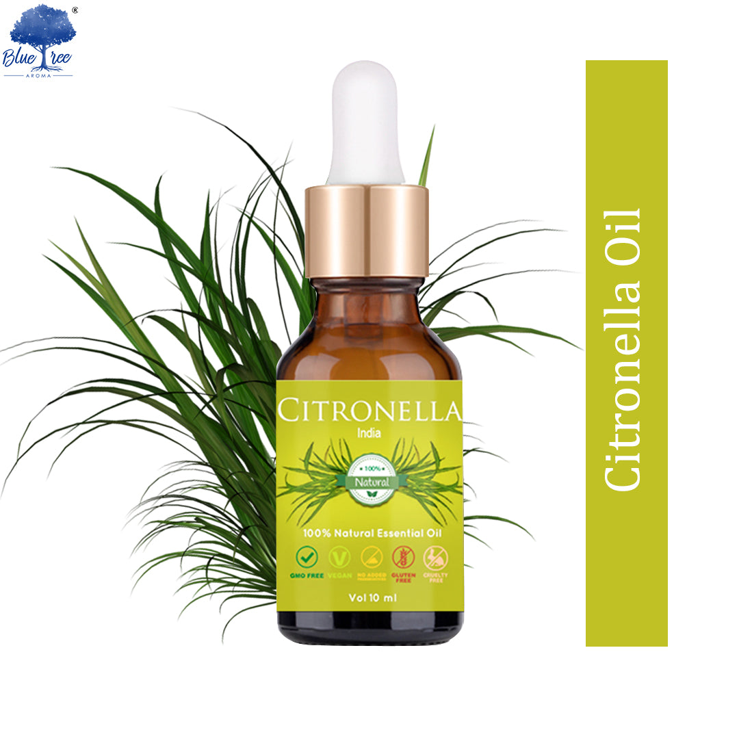 Citronella Essential Oil - Blue Tree Aroma