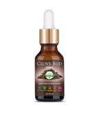Clove Bud Essential Oil - Blue Tree Aroma