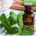 Spearmint Essential Oil - Blue Tree Aroma