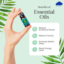 Load image into Gallery viewer, Monsoon Care Essential Oils (Lemongrass and Citronella 10 ml each)
