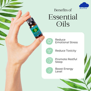 Monsoon Care Essential Oils (Lemongrass and Citronella 10 ml each)