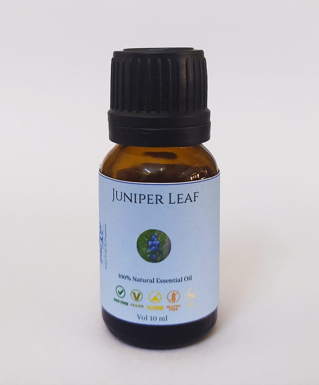 Juniper Leaf