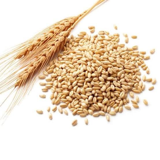 Wheat Germ - 100% natural and premium cold pressed oil for Skin, Hair, Face & Body Care- Rich in Nutrients - Anti Ageing, Anti hairfall & Strengthening The Hair
